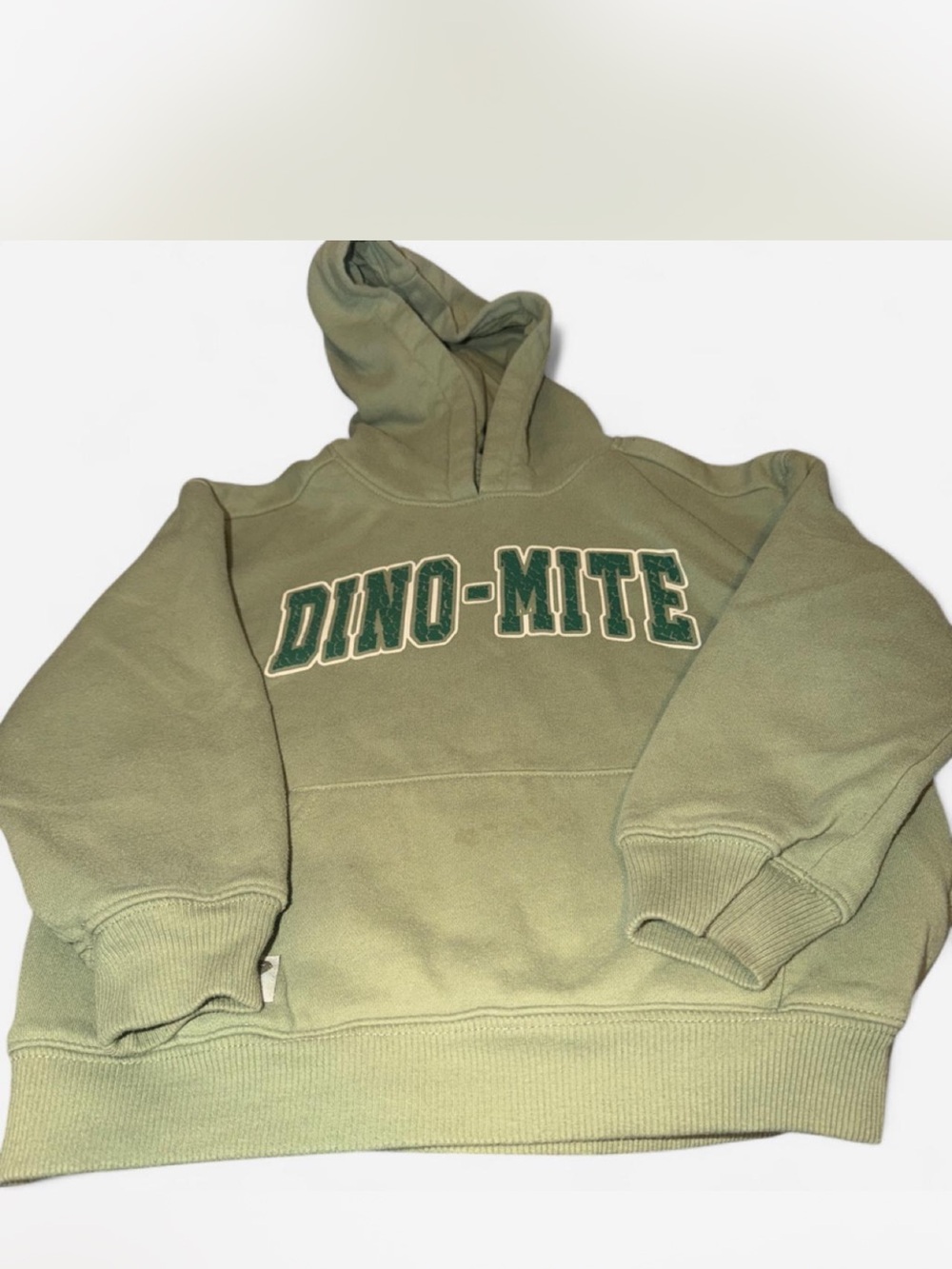 wonder nation Olive Green "DINO-MITE" Hooded Sweatshirt for Kids